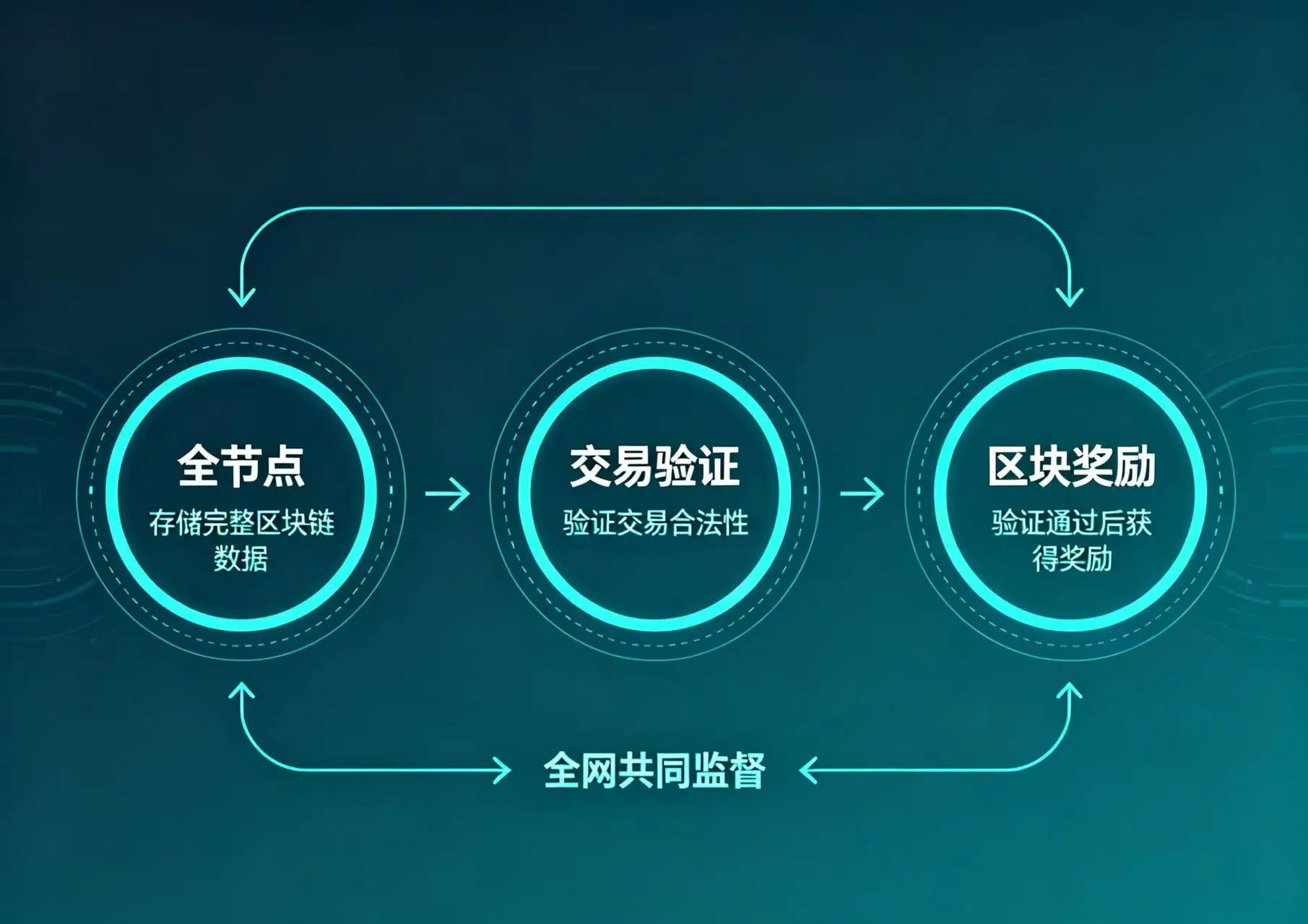 全节点验证区块奖励机制图，体现全网节点共同监督区块奖励合规性的原理